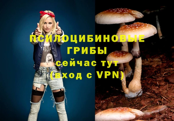 ECSTASY Киреевск