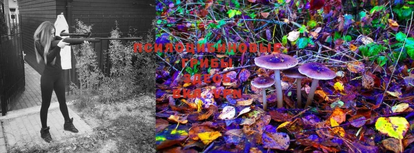 марки lsd Киренск