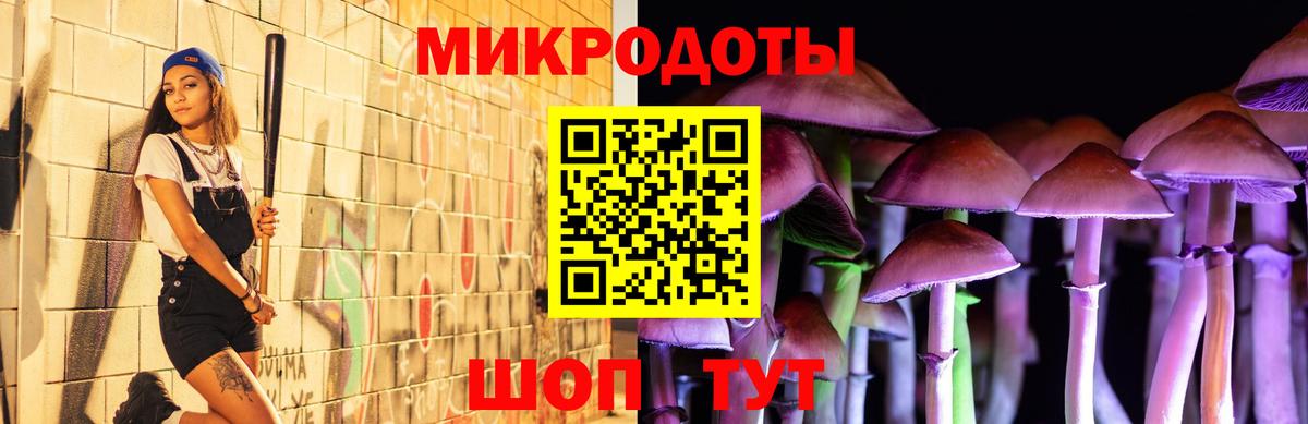 Галлюциногенные грибы прущие грибы  где найти наркотики  Дальнегорск  Галлюциногенные грибы прущие грибы  Вход с VPN 